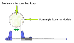 Pomiar kłody średnicomierzem elektronicznym Codimex E1-Log Pomiar kłody średnicomierzem elektronicznym Codimex E1-Log